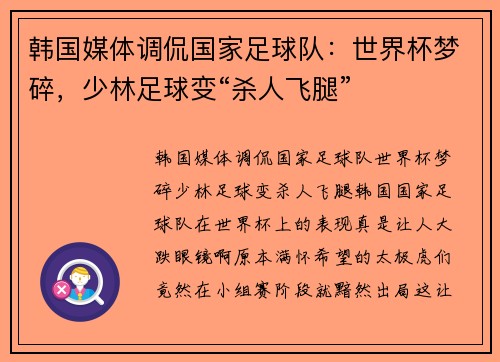 韩国媒体调侃国家足球队：世界杯梦碎，少林足球变“杀人飞腿”